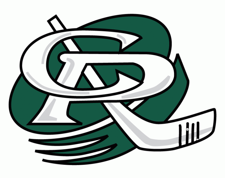 cedar rapids roughriders 1999-2012 alternate logo iron on heat transfer